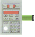 RTR Display Skin